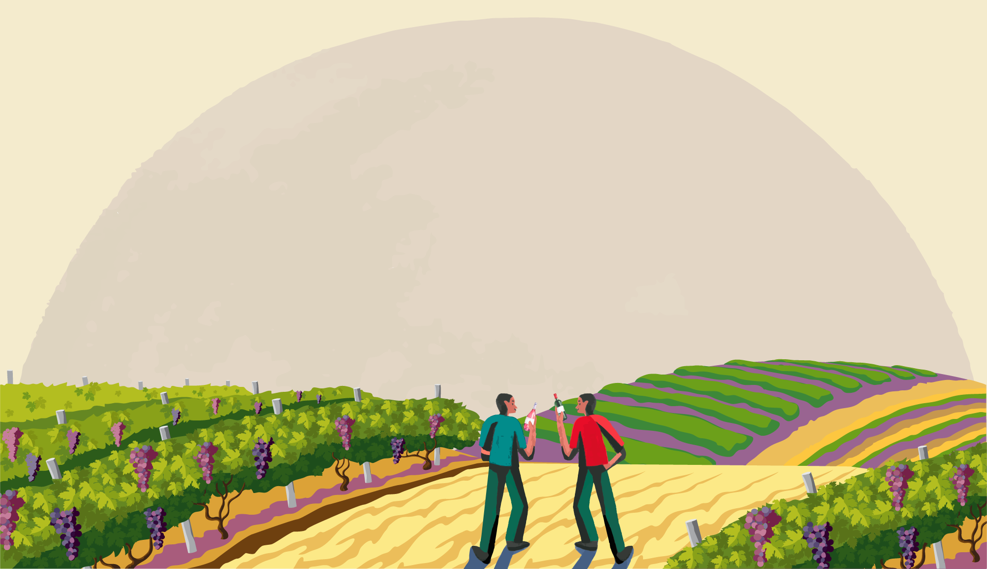 Diversification Winefi